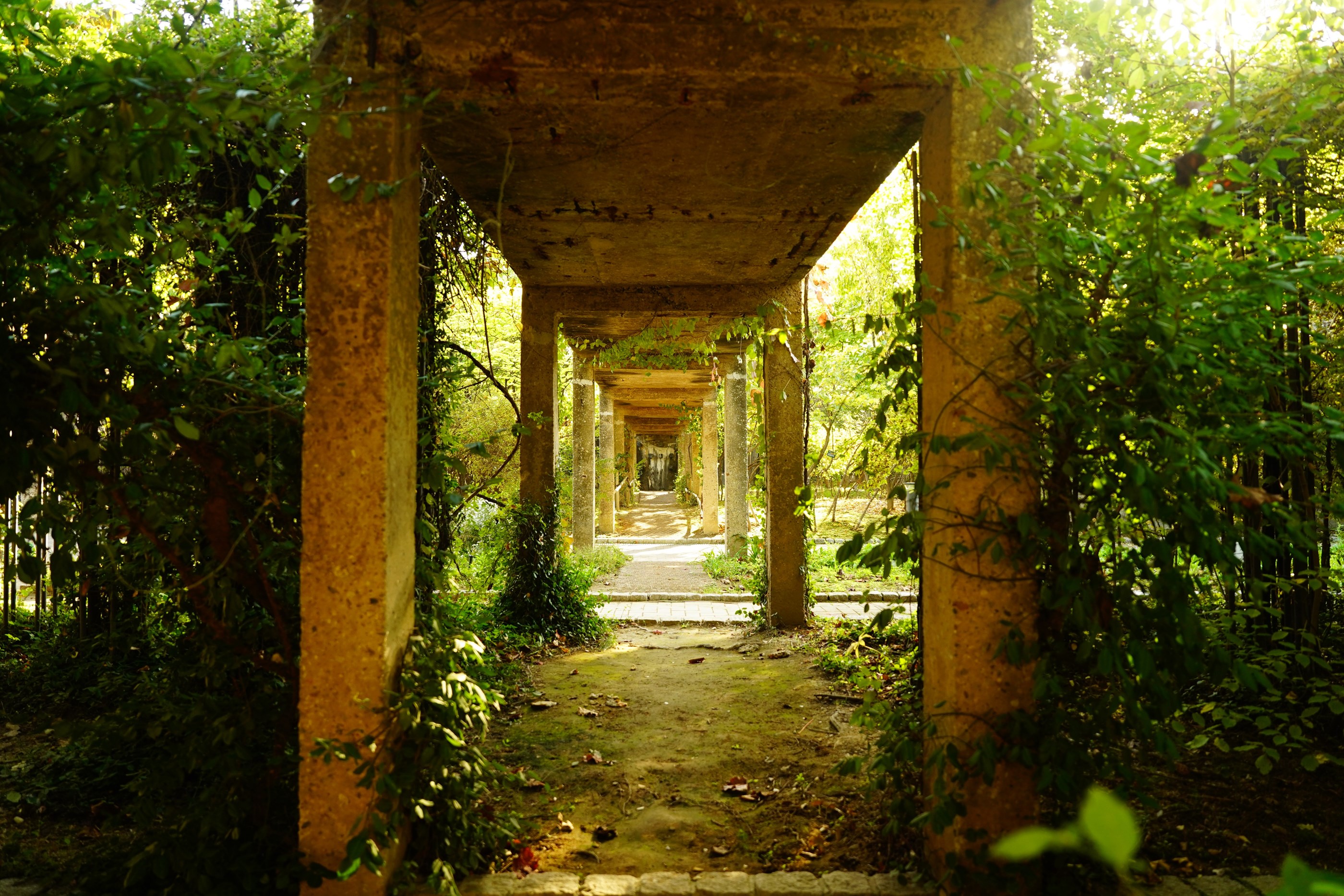 2024 콘크리트문화사진전 / 일반부 대상 /  김영용 / 작품명: 폐콘크리트 시설물의 공원화